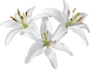 Grief…Understanding It and Supporting It