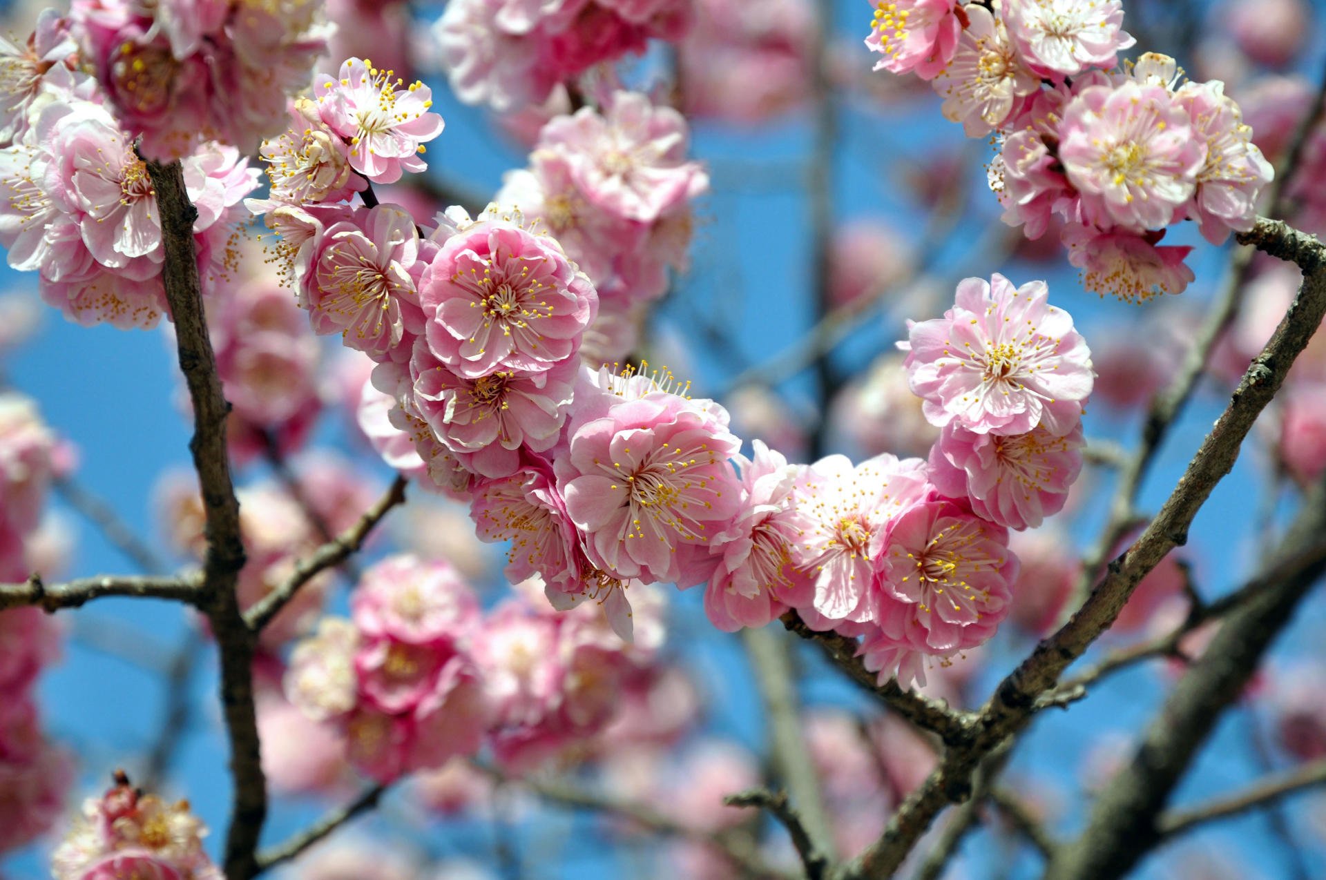 Blog 7 Blog 4