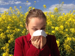 Is it Hayfever? 2