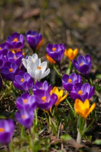 Sugar cravings… A MARCH START! 1