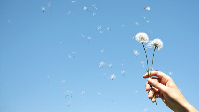 Hayfever, Homeopathy and Tissue Salts 2