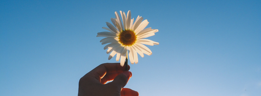 Homeopathy and Susceptibility 3