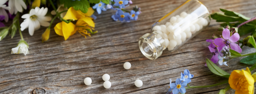 Homeopathy and Susceptibility 2