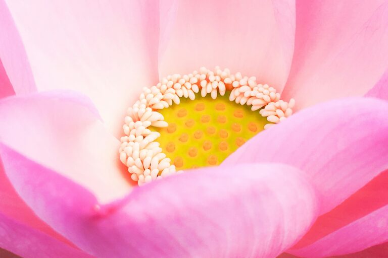 Tackling Hormone Health... 1