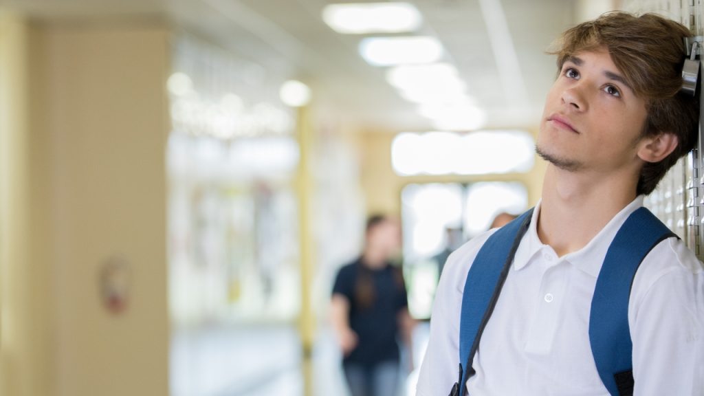 The Stresses and Strains of Educating our Children 2