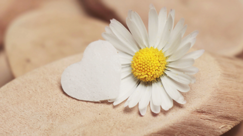 Achieving Optimal Health with Homeopathy (5)