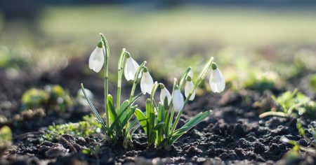 csaba-talaber-tldCrUd18io-unsplash
