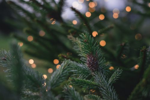freestocks-Q1N9vX2Sp1g-unsplash