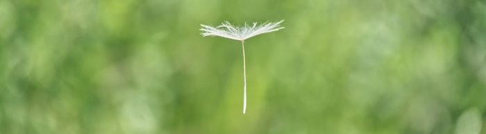 wolfgang-hasselmann-GK9kkPIZyAs-unsplash